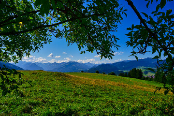 bergpanorama baum 