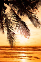 Beautiful Palm trees sunny or sunset in holidays.Dramatic colorful sea silhouette sky.Sunset turquoise colored water on the beach.Orange sundown and golden sunset sky.
