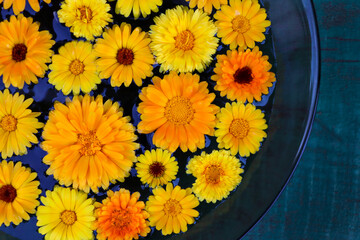 Medicinal plant calendula. Beautiful photo of orange and yellow flowers on a dark background. Flowers in a black plate. Selective focus.
