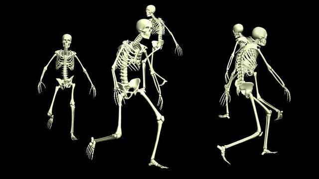 Skeleton marching in a circle. Animation footage. 3D animation of skeletons.