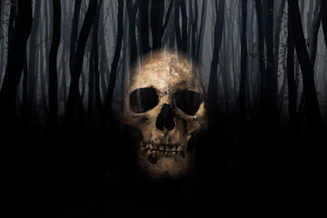 Horror Halloween image of haunted forest and skulls. 