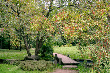 bridge in the autumn garden