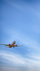 Airplane landing on the airport. Perfect view on the airplane with different high.