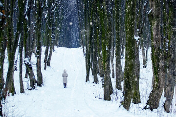 A lonely girl walks in the park in winter during a snowfall