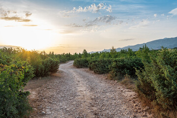 A picturesque dirt road against the backdrop of sunset and mountains. Croatia.