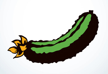 Small green cucumber. Vector drawing