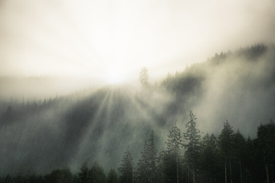 The sun rises behind the mountains scatter the thick mist, near Port renfrew, Vancouver Island, Bc