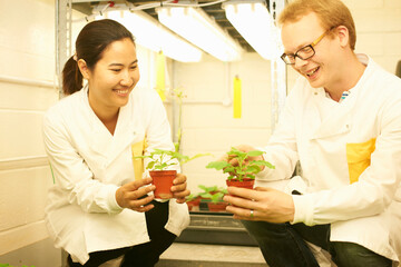 Two scientists comparing plant samples in lab