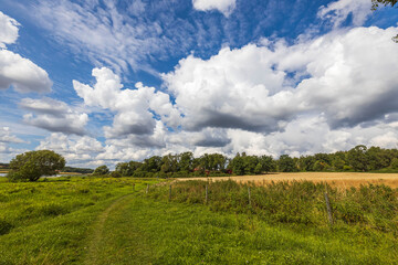 Naklejka premium Amazing summer nature landscape view. Lake coast on blue sky with white clouds background. Sweden. 