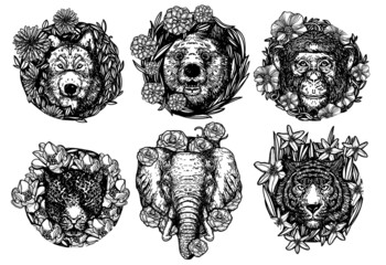 Obraz premium Wolf bear monkey tiger and elephant in flower hand drawing and sketch black and white