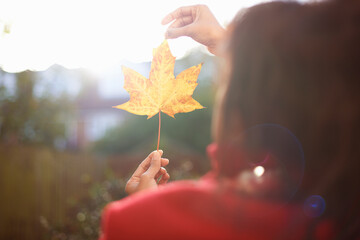 Womans hands holding up autumn leaf in sunlit park