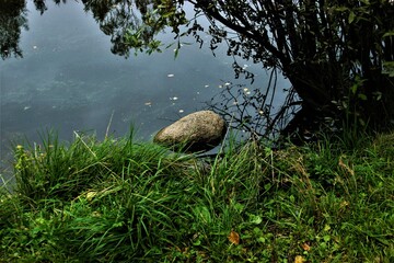 grass and stones