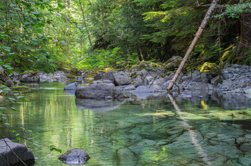Wilderness as Earth Intended