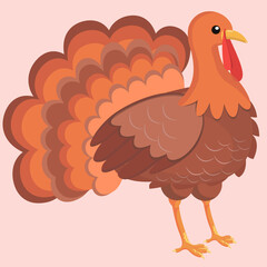 Colorful image of a turkey for Thanksgiving. Vector illustration