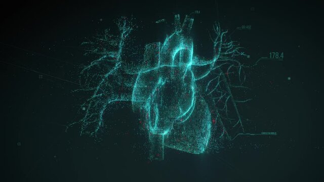Digital model of the Human heart and major blood vessels. Diagnostic of the human circulatory system