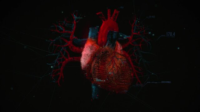 Digital model of the Human heart and major blood vessels. Diagnostic of the human circulatory system