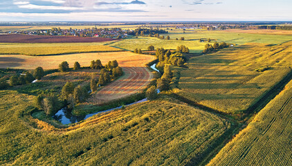 Corn harvest. September agriculture fields aerial panorama.