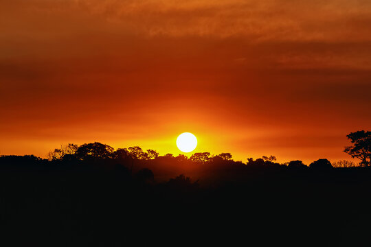 Por do Sol com c&eacute;u alaranjado e silhueta das &aacute;rvores da paisagem