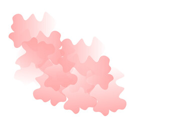 pink flower isolated on white