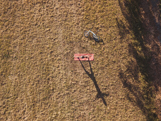 Mature woman in park, standing in yoga positions, casting shadow on grass, aerial view