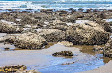Brown rough stones on a wet sandy beach near the sea close up