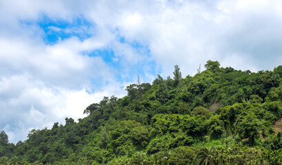 Close up view of a green mountain under the bright sunny sky