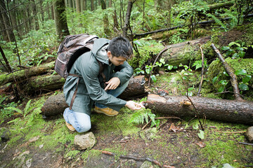 Man looking at fungus in forest