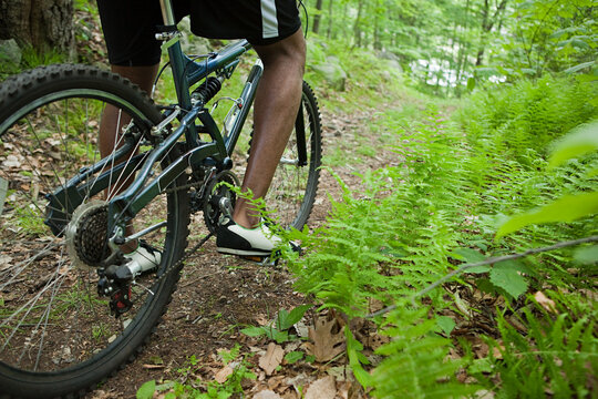 Male cyclist in forest