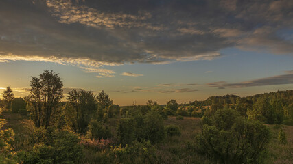 L&uuml;neburger Heide