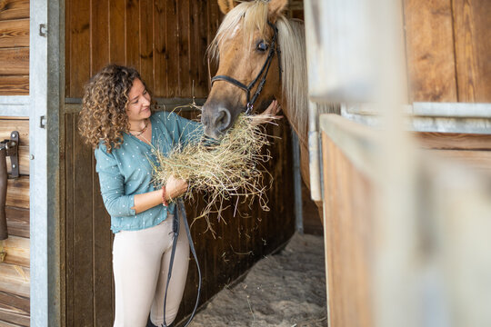 Smiling woman feeding horse with hay in stall