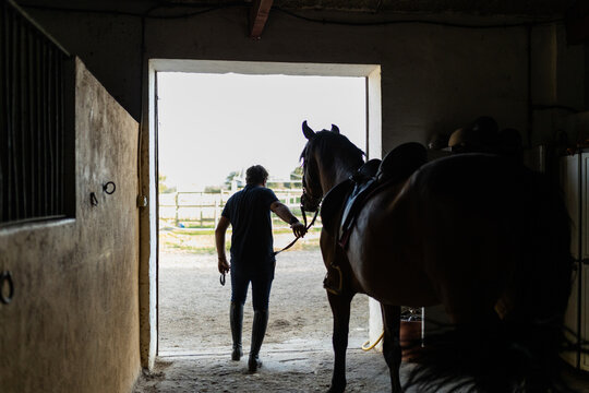 Man taking horse out of stall in riding school