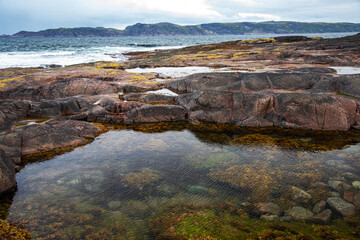 Fototapeta na wymiar beach on the northern ocean is made of stones covered with colorful moss. Teriberka, Barents Sea, Murmansk region, Kola Peninsula
