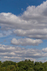 white fluffy clouds above tops of trees