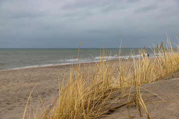 Kurshskaya Kosa at cloudy windy day. Baltic sea view