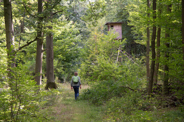 Obraz premium wanderer im wald