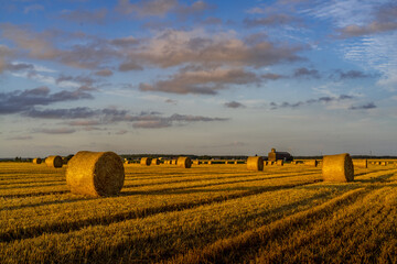 Paysage campagne 1064