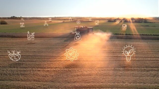 Ecological Green Energy Icons Concept Drone Shot of Harvester In a Cornfield sunset tracking shot