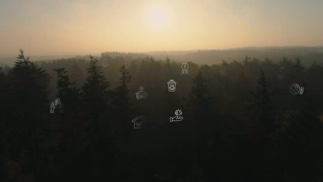 Ecological Green Energy Icons Concept Drone Shot of Forrest Sunset