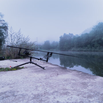 fogy rodpod