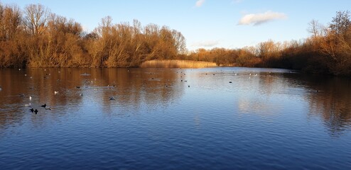 lake in autumn