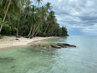 Wild caribbean beach. Desert island