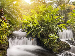 Sunset over waterfalls in the green forest of Costa Rica.