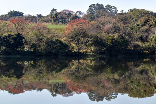 trees reflected in lake in S&atilde;o Carlos S&atilde;o Paulo Brazil. Dam 29, Represa 29 in S&atilde;o Carlos S&atilde;o Paulo Brazil
