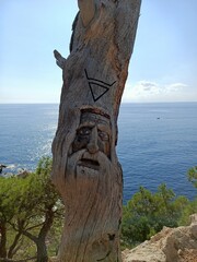 tree on the beach