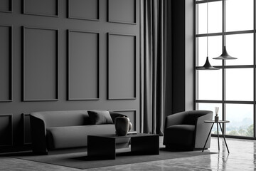 Modern panoramic grey living room with wall moulding