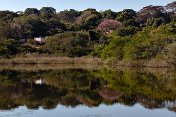Fototapeta na wymiar lake in the mountains in São Carlos São Paulo Brazil
