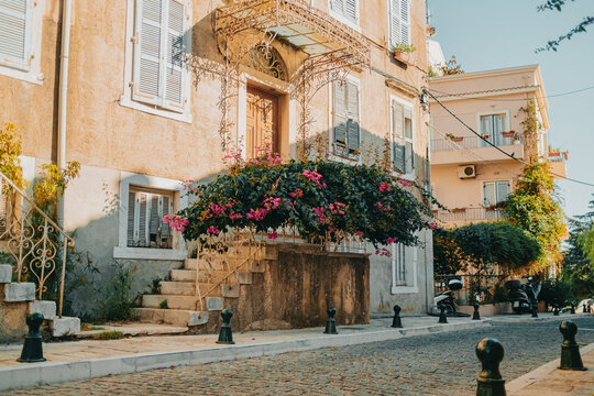 Beautiful cozy street in old town of Italy or Greece. Historic european facades of buildings with bushes, flowers. Cityscape concept.