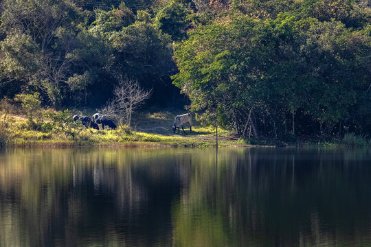 lake and mountains in S&atilde;o Carlos S&atilde;o Paulo Brazil. Dam 29 in S&atilde;o Carlos S&atilde;o Paulo Brazil