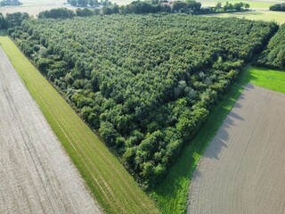Impressive aerial image of fields and trees