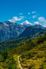 landscape in the summer